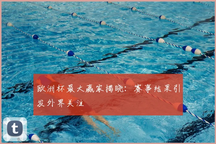 欧洲杯最大赢家揭晓:赛事结果引发外界关注