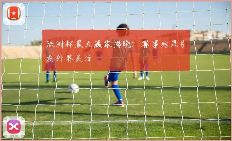 欧洲杯最大赢家揭晓:赛事结果引发外界关注