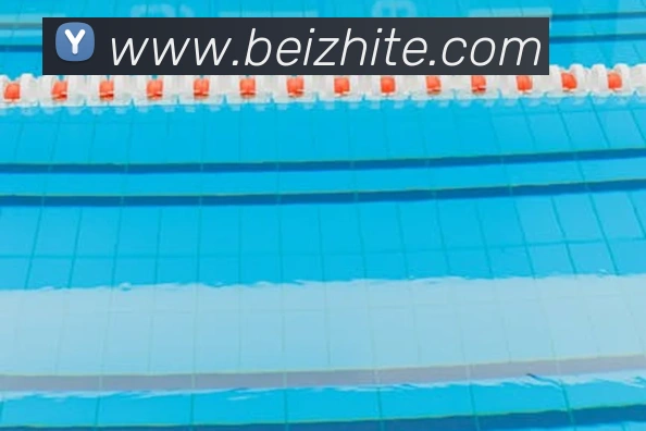 华会体育官网服务体系